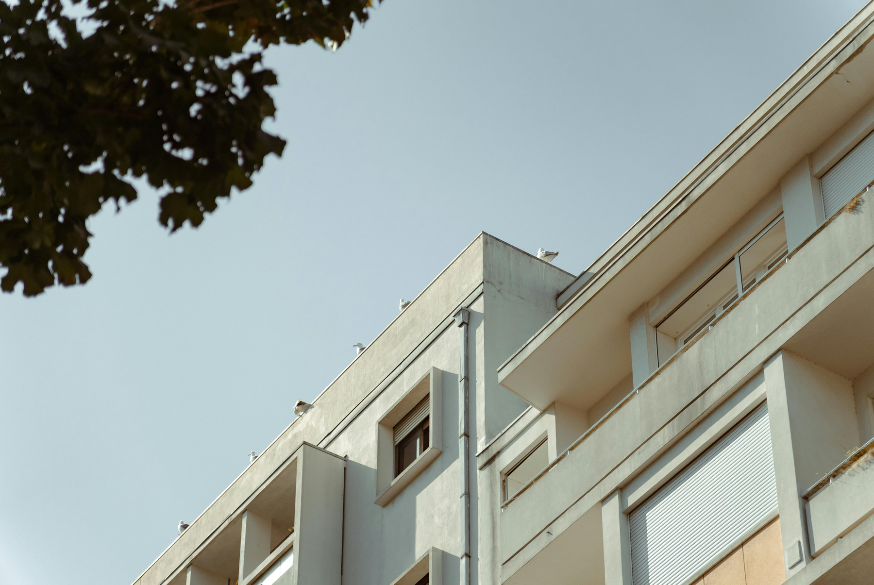pexels-andredaniel-33462212